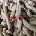 人参新货白棒参7克~10左右关书药材