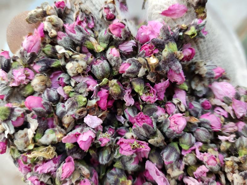 桃花新货山东关书药业批发中药材