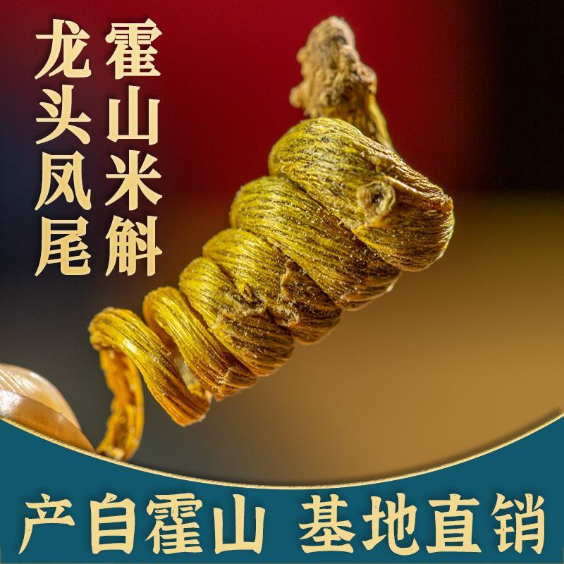 霍山铁皮石斛鲜条石斛鲜条霍山米斛鲜条原产地基地直发