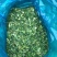 出售新鲜发酵打包玉米桔杆。皇竹草青储草料