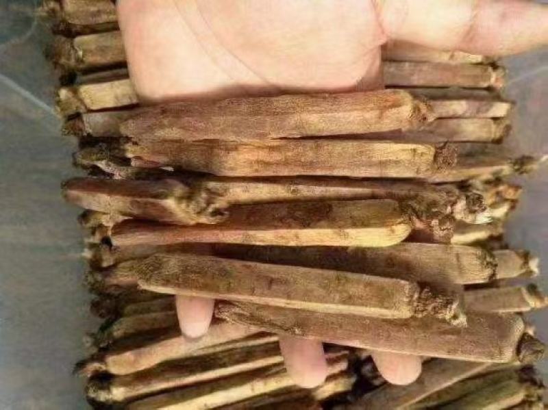 长白山30头无糖高丽参一斤包邮产地直供当天发货