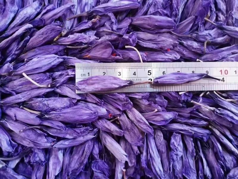 藏红花园区直销，保证质量