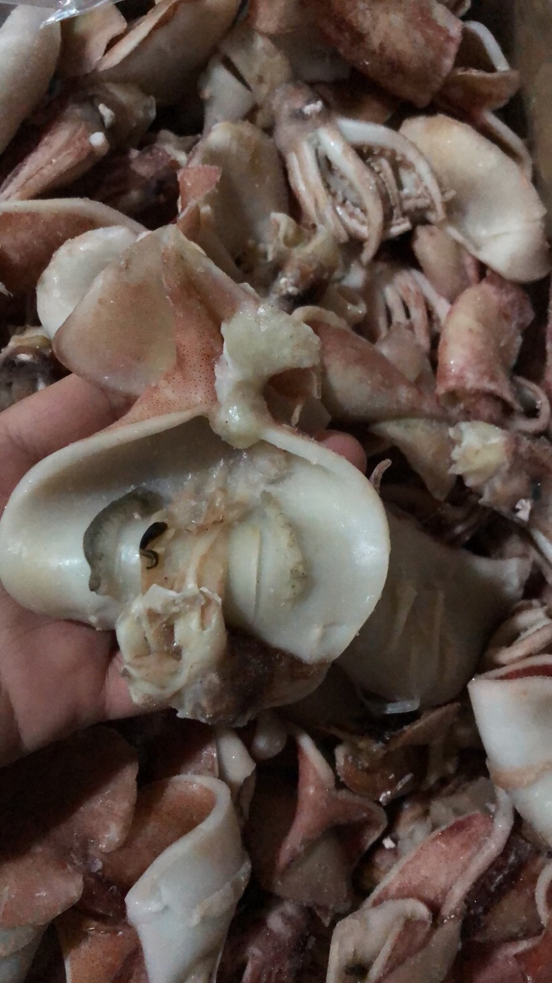 鲜冻鱿鱼干鱿鱼片去内脏单冻尤鱼火锅食材自助餐