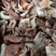 鲜冻鱿鱼干鱿鱼片去内脏单冻尤鱼火锅食材自助餐