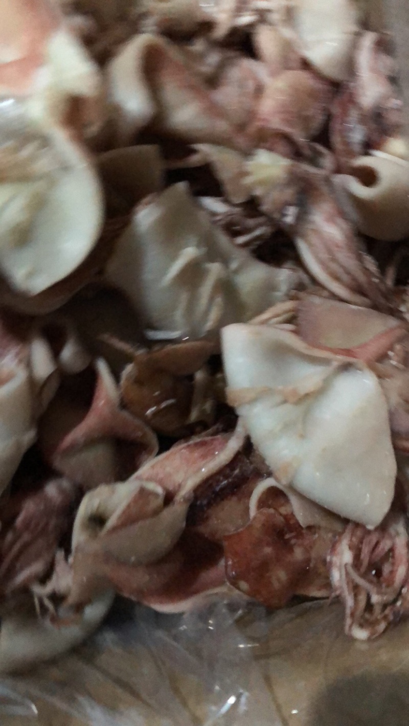 鲜冻鱿鱼干鱿鱼片去内脏单冻尤鱼火锅食材自助餐
