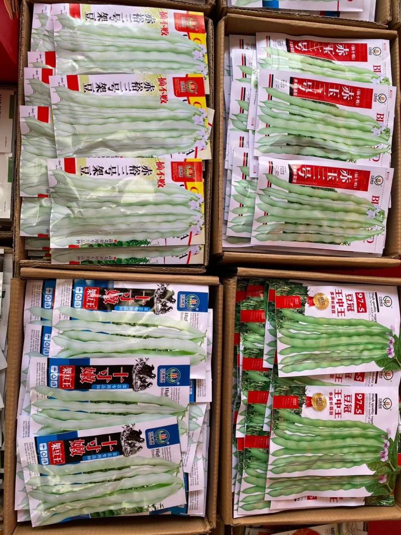 【优质】芸豆种子宽豆角种子长度25-30厘米