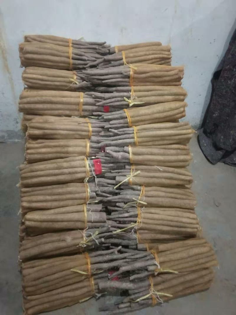 精品网袋山药，白玉好长条山药
