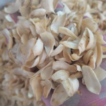 龙山卷丹百合，新货有硫低硫大货供应，批零兼营