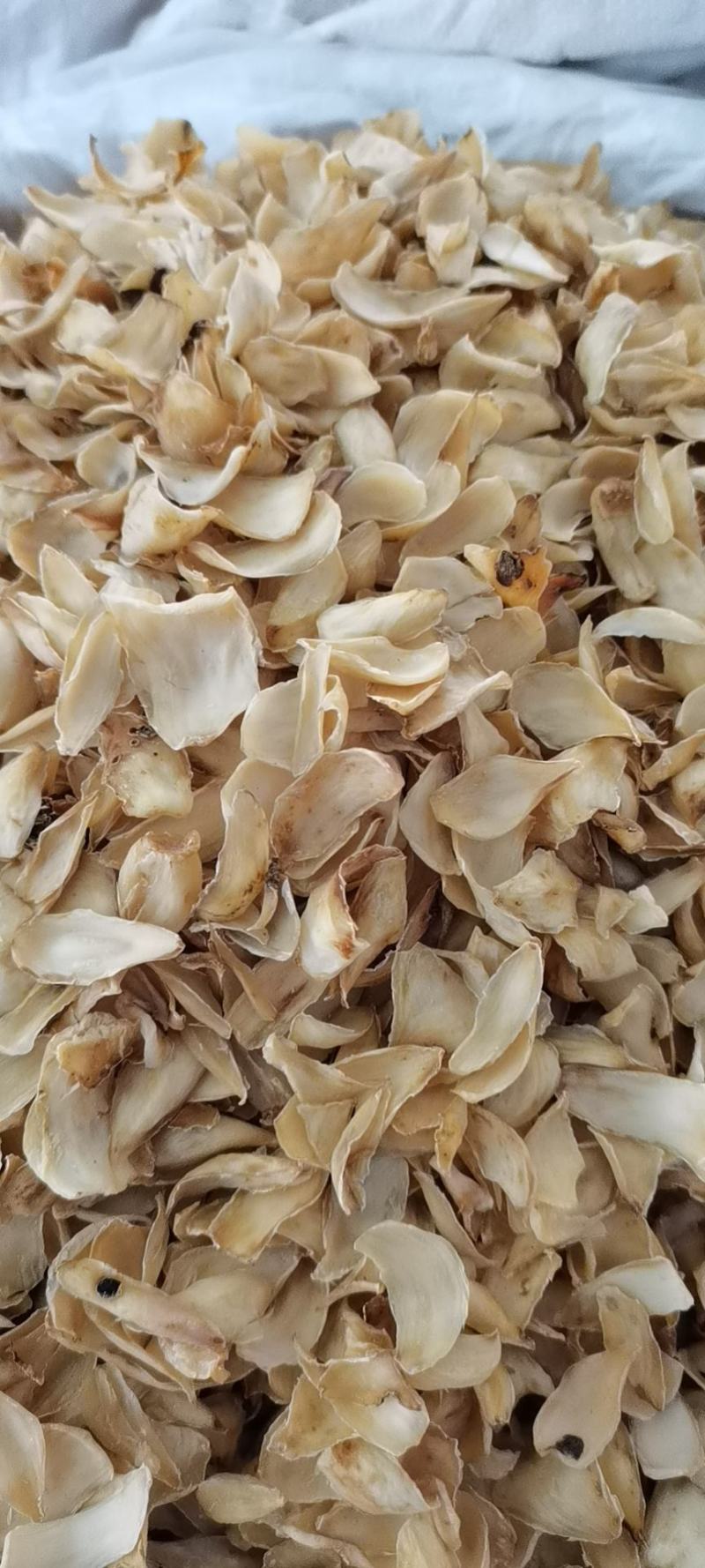 龙山卷丹百合，新货有硫低硫大货供应，批零兼营