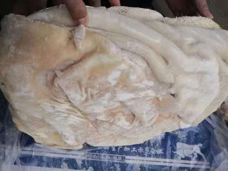 牛肚源头厂家适合炒菜黄焖牛肚凉拌肚