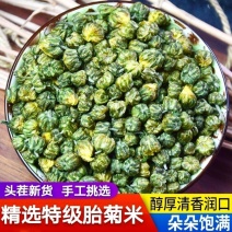 【牛商推荐】胎菊胎菊米泡茶花茶批发500克包邮