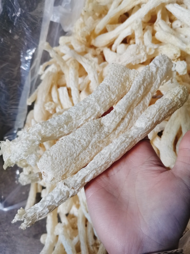 竹荪杆，竹荪管，长裙竹荪梗，竹荪干货，餐饮款
