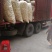 竹荪杆，竹荪管，长裙竹荪梗，竹荪干货，餐饮款