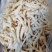 竹荪杆，竹荪管，长裙竹荪梗，竹荪干货，餐饮款