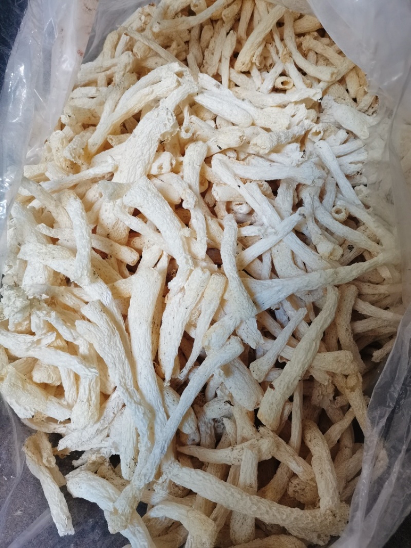 竹荪杆，竹荪管，长裙竹荪梗，竹荪干货，餐饮款