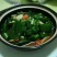 斑鸠树苗，神豆腐树苗，鬼豆腐树苗可做食用豆腐