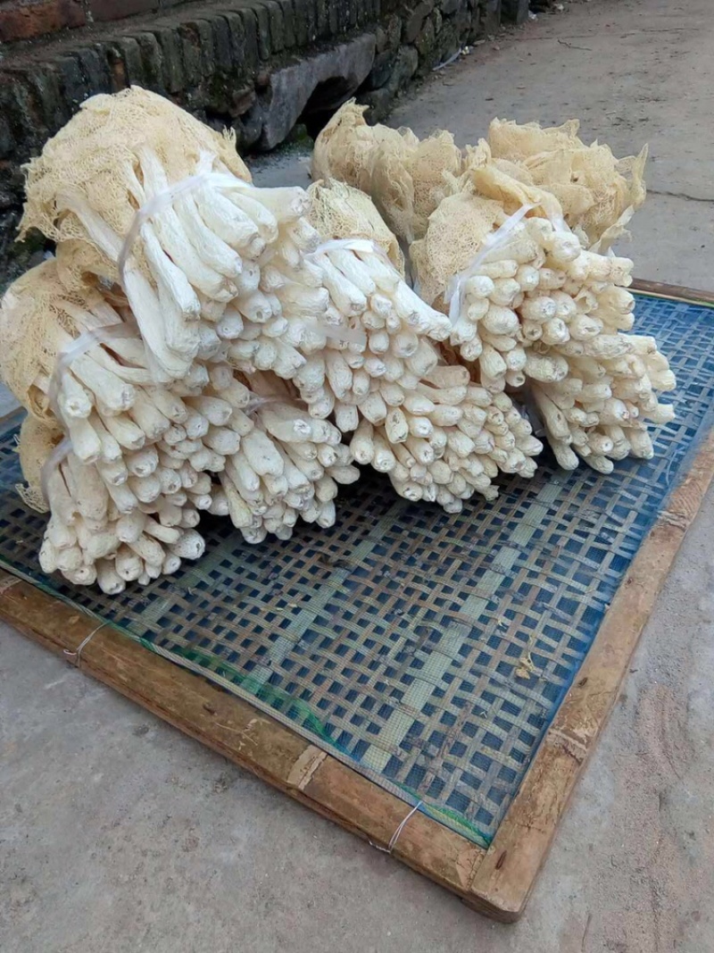 500克长裙竹荪净重440克，市场流通一斤装爆款。