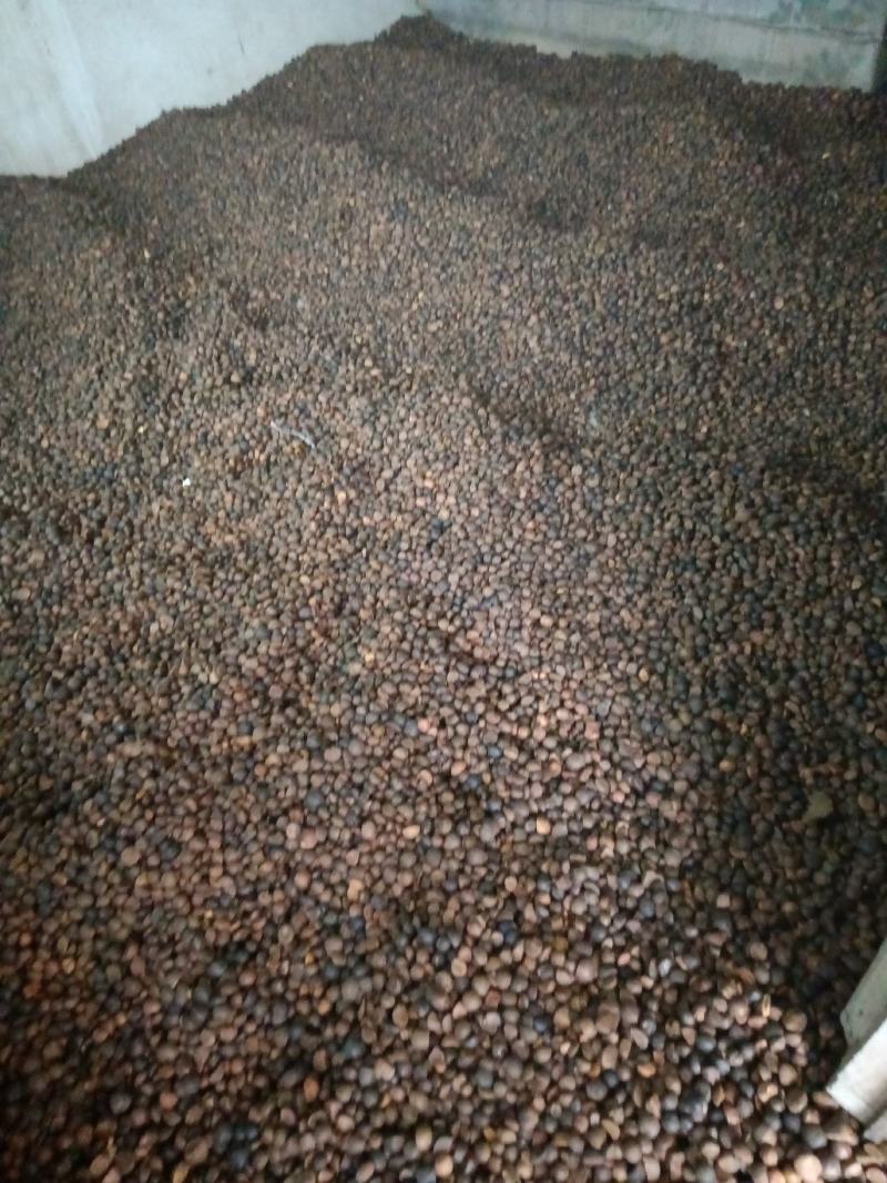 茶籽，手工去壳，无霉变，价格优惠