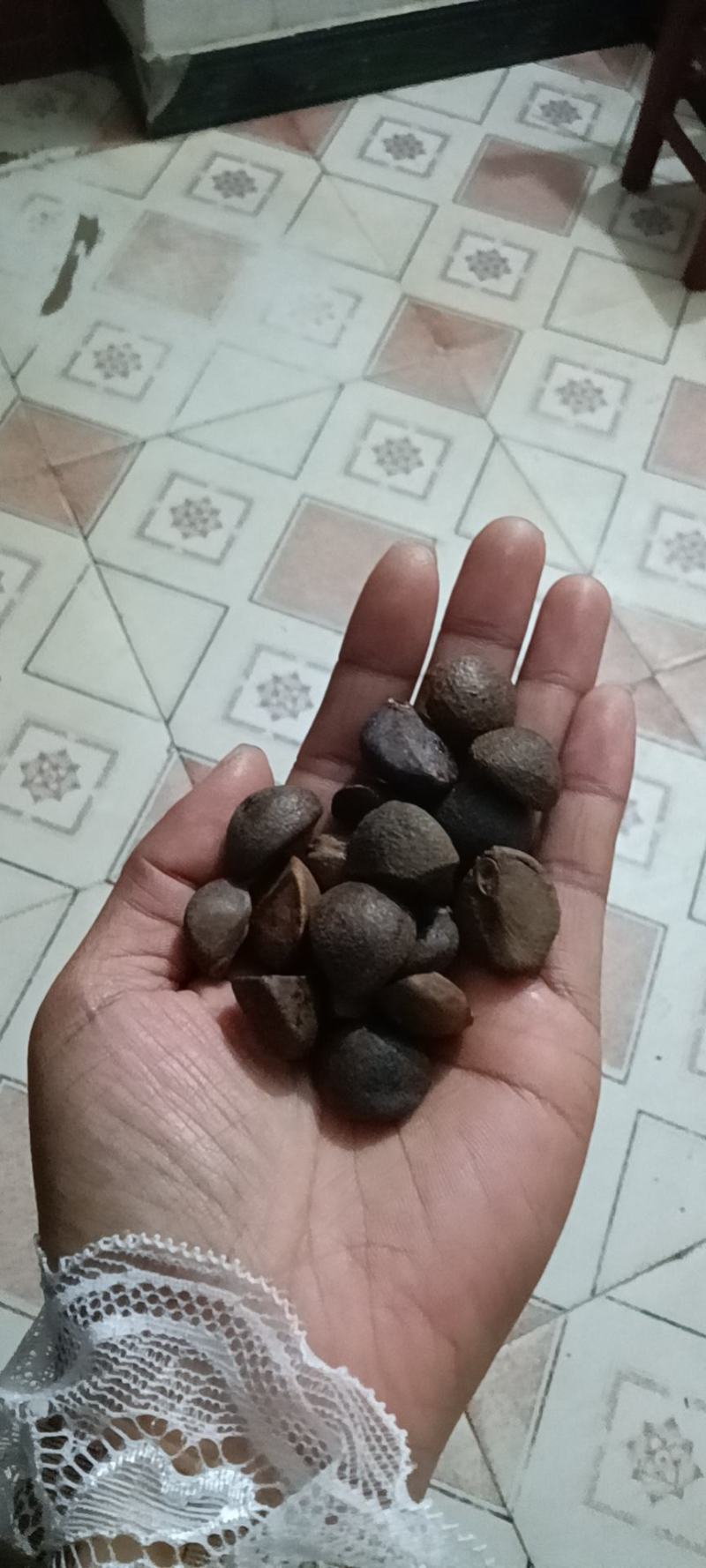 茶籽，手工去壳，无霉变，价格优惠
