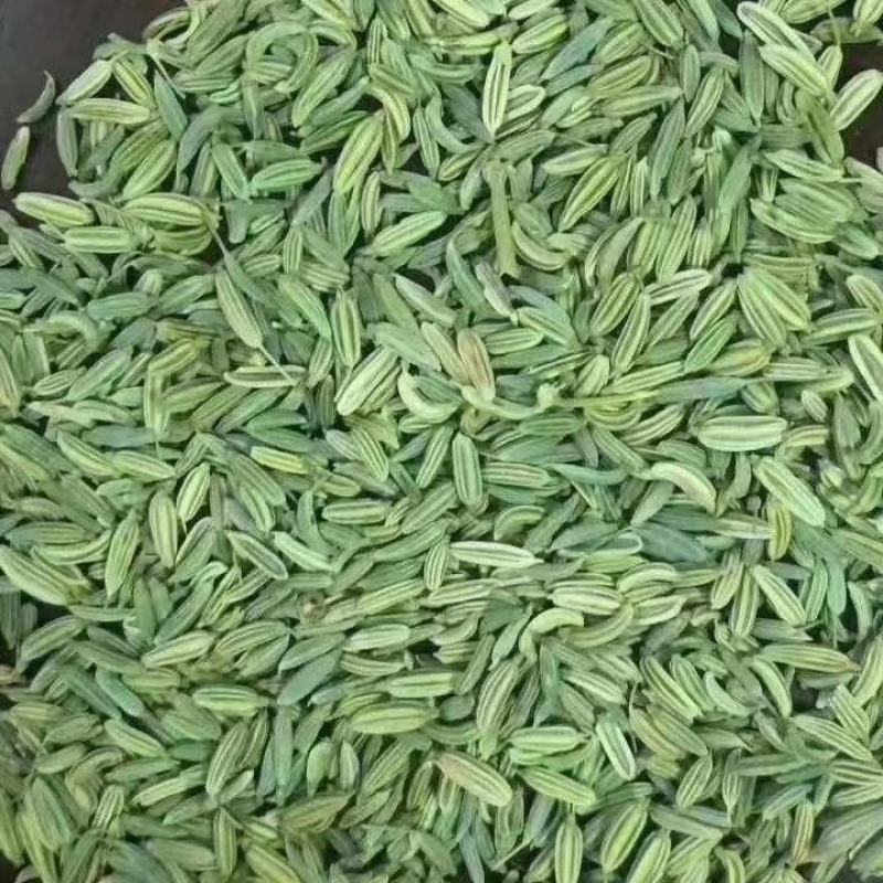 国产特绿小茴统绿小香味浓干净无杂质批零兼营