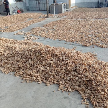 [天麻批发]足干货产地一手农户自己种植自己加工
