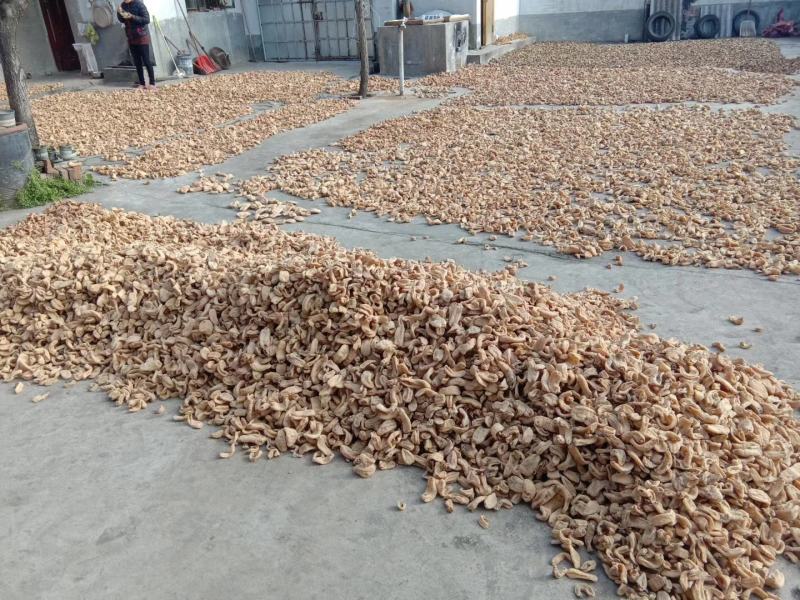 [天麻批发]足干货产地一手农户自己种植自己加工