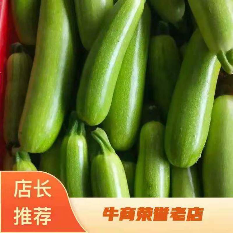 西胡芦富硒西葫芦一手货源诚实守信做一个正直的人