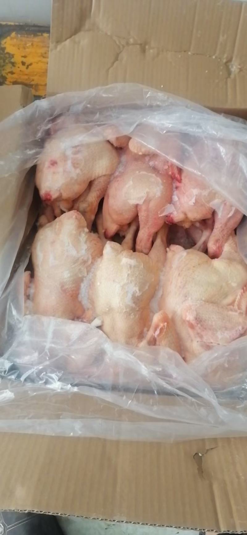 三黄鸡，老母鸡，肉食鸡，白条鸡，厂家分割，