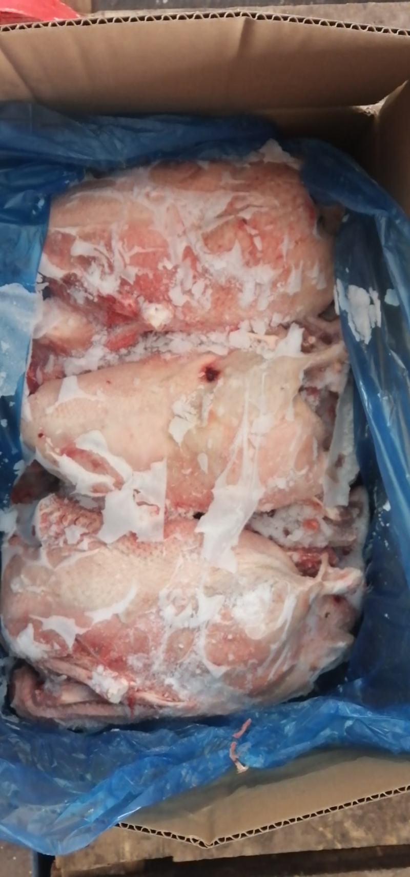 三黄鸡，老母鸡，肉食鸡，白条鸡，厂家分割，