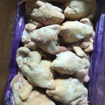三黄鸡，老母鸡，肉食鸡，白条鸡，厂家分割，