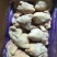三黄鸡，老母鸡，肉食鸡，白条鸡，厂家分割，