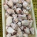 三黄鸡，老母鸡，肉食鸡，白条鸡，厂家分割，