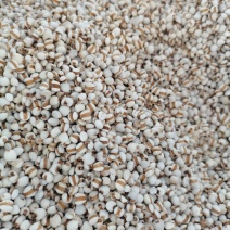 贵州小薏米，大薏米，新货无硫，大货供应，批零兼营