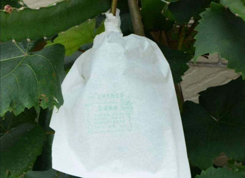 包邮）葡萄用纸袋白色全木浆葡萄套袋葡萄防晒袋果园果袋防水