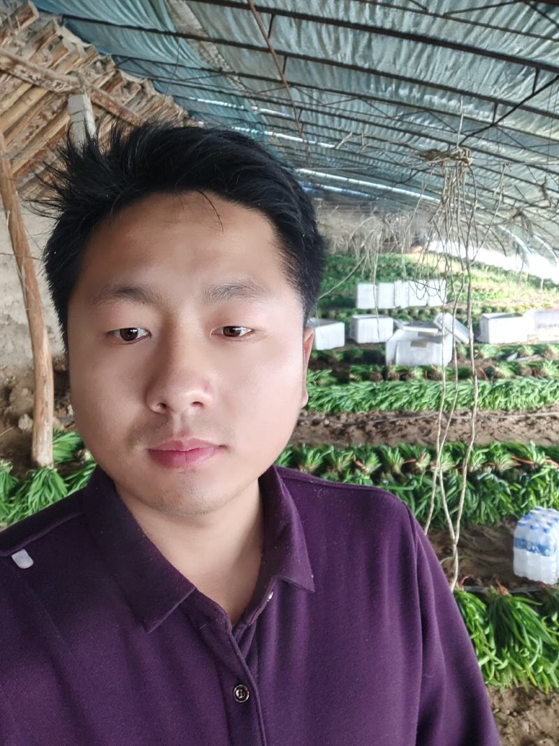 韭菜大量上市中，欢迎收购