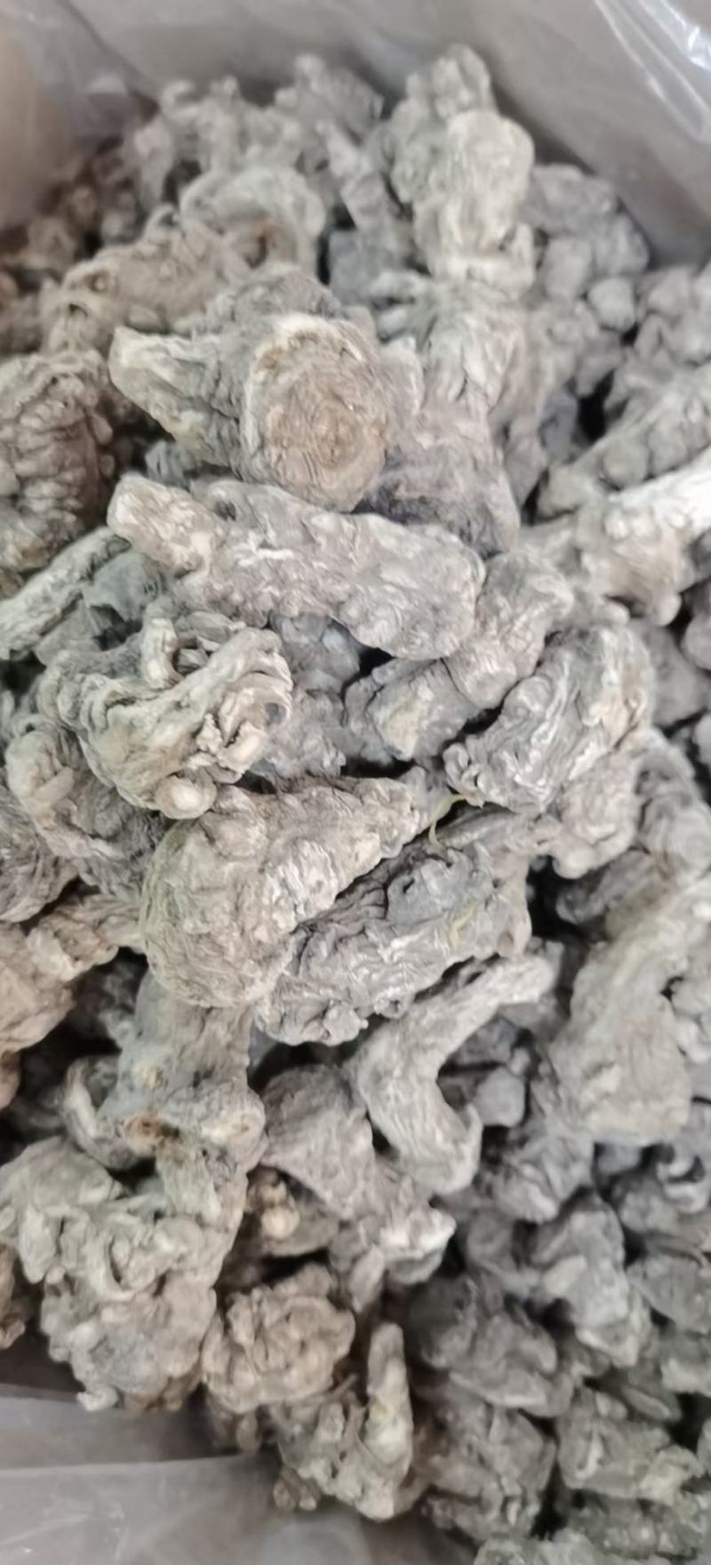 岷当归中心片有硫无硫大货供应批零兼营行情暴涨下单请询价