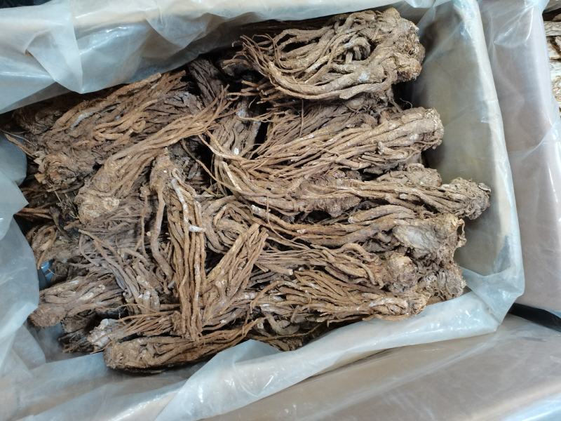 岷当归中心片有硫无硫大货供应批零兼营行情暴涨下单请询价
