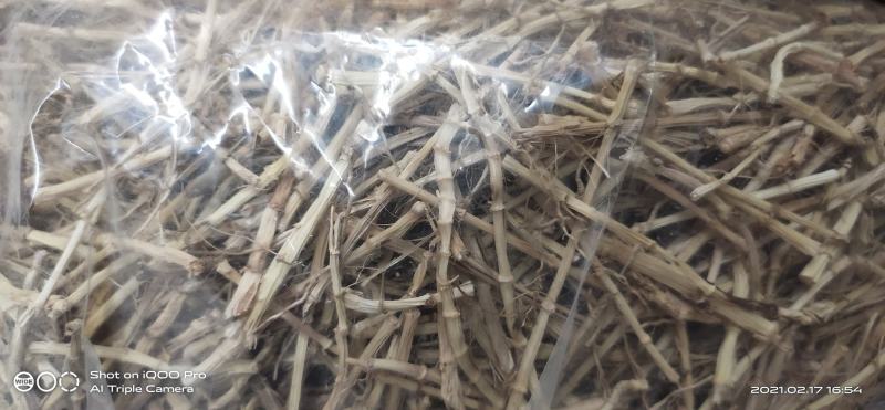 白茅根干货切段白茅根干货干条根据客户需要订做