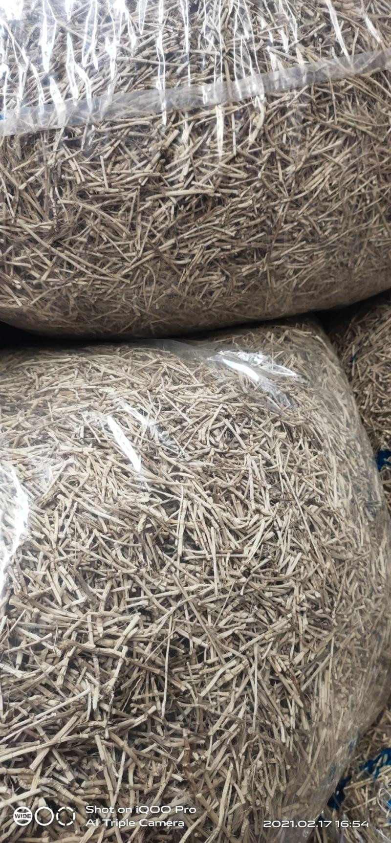 白茅根干货切段白茅根干货干条根据客户需要订做