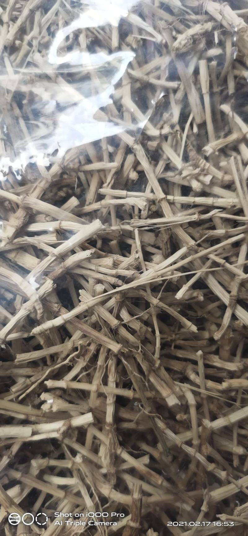 白茅根干货切段白茅根干货干条根据客户需要订做