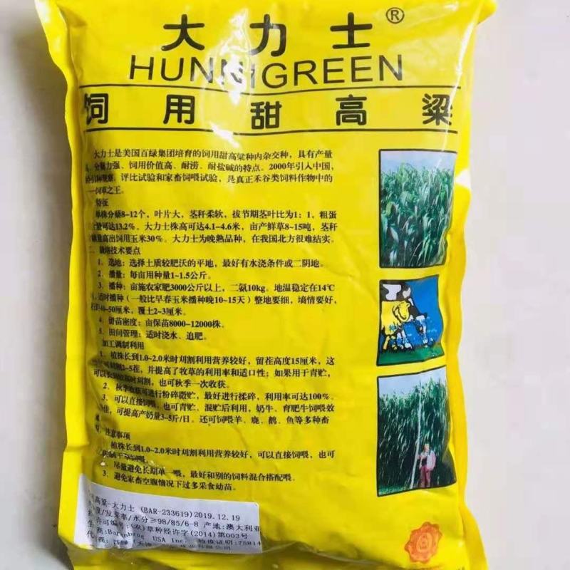 大力士饲用甜高粱牛羊鹅鱼高产牧草青贮种子饲用甜高粱种子