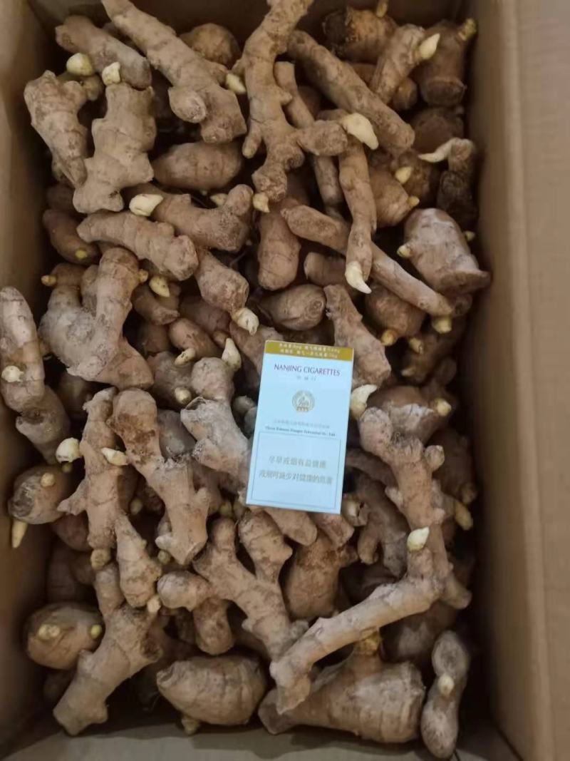 优质姜种产地批发一手货源。货源充足品质优良，支持全国发货