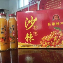 批发各种沙棘饮料，沙棘原浆