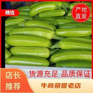 精品西葫芦大量上市。商场，超市，。代收代发全国