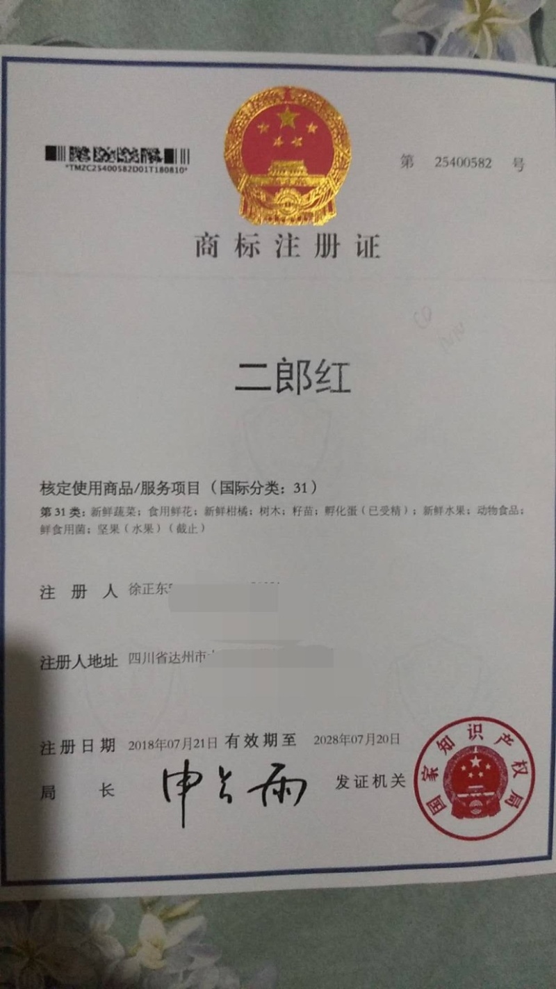 大竹香椿芽，二郎红香椿芽，精品香椿芽，红油香椿芽