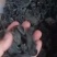 一般黑木耳干货500g东北秋木耳特级野生小碗耳长白山椴