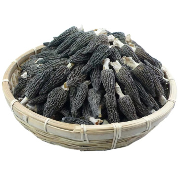 羊肚菌，原产地种植；质量高，价格优；欢迎大家实地考察；