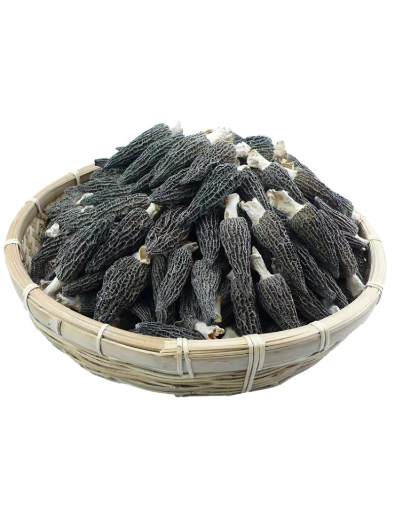 羊肚菌，原产地种植；质量高，价格优；欢迎大家实地考察；