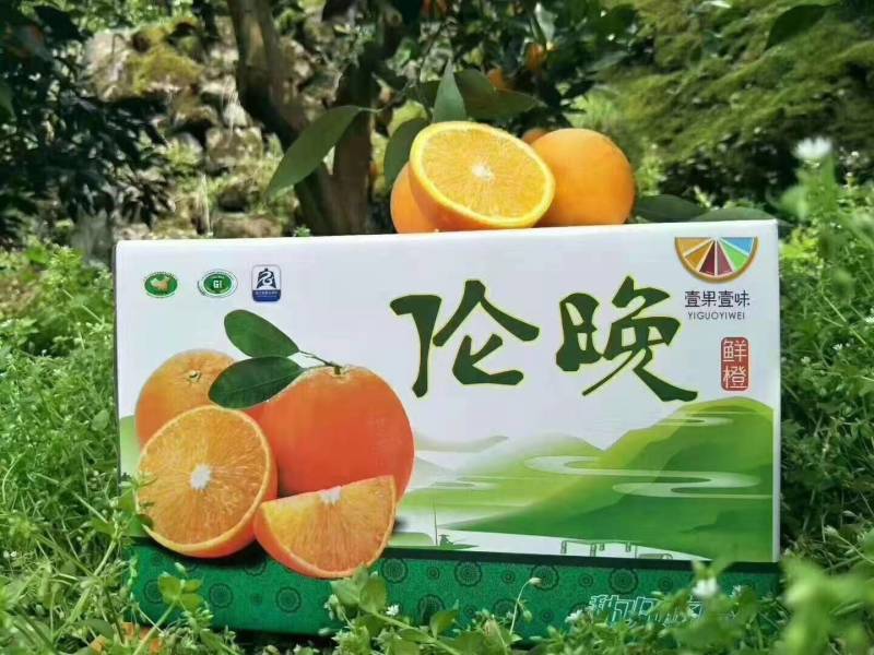 [伦晚脐橙]个头大水分足看货订货优质货源