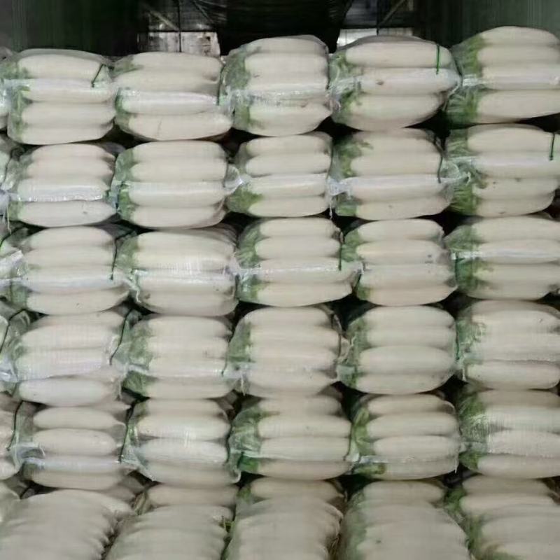 白萝卜精品基地大量供应，质量保证，每天可发100吨以上。